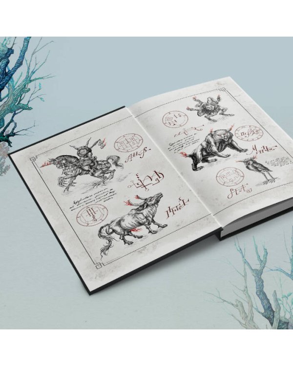 Хозяйка Шварцвальда