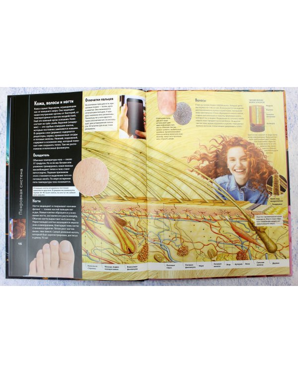 Тело человека. Виртуальная реальность