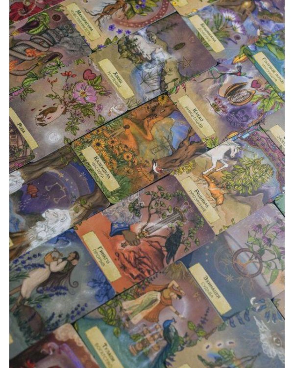 Магия звезд и растений. Оракул. Таро, гадания и знаки