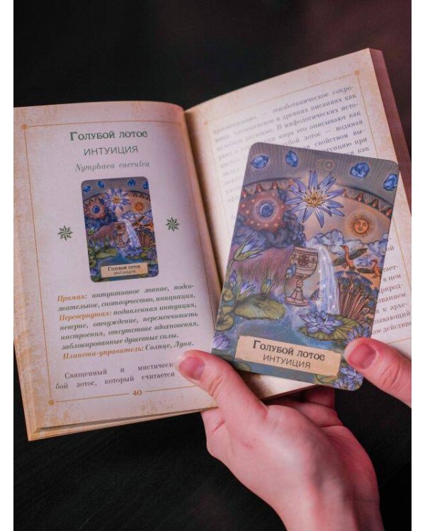 Магия звезд и растений. Оракул. Таро, гадания и знаки