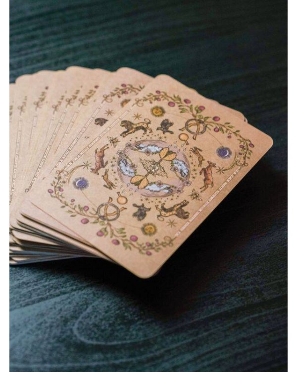 Магия звезд и растений. Оракул. Таро, гадания и знаки