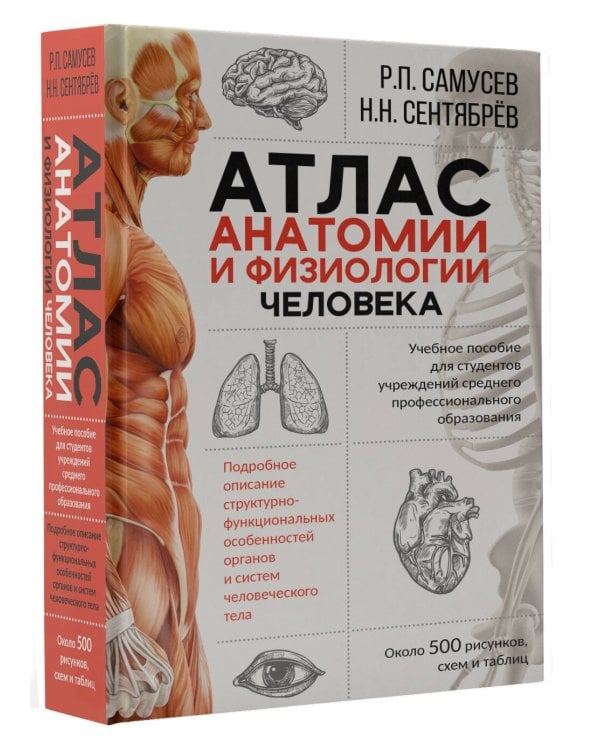 Атлас анатомии и физиологии человека. Учебное пособие для студентов учреждений среднего профессионального образования
