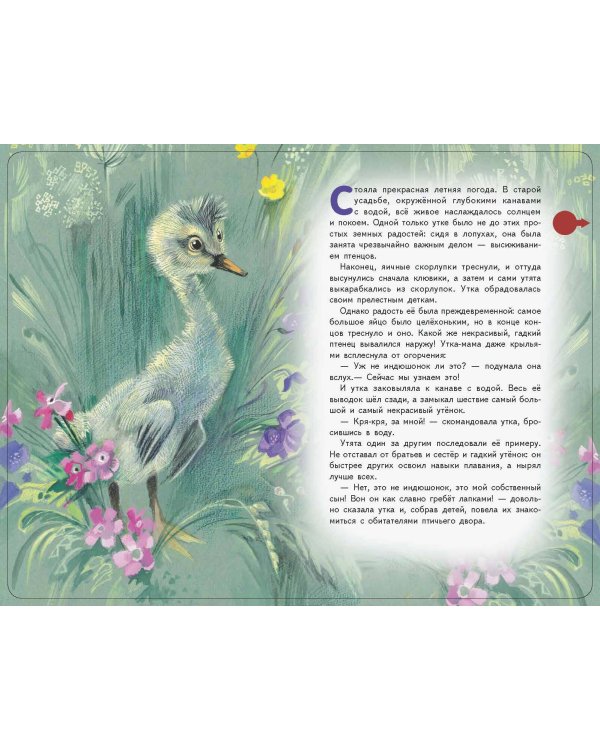 Гадкий утенок (+ музыка А. Вивальди)