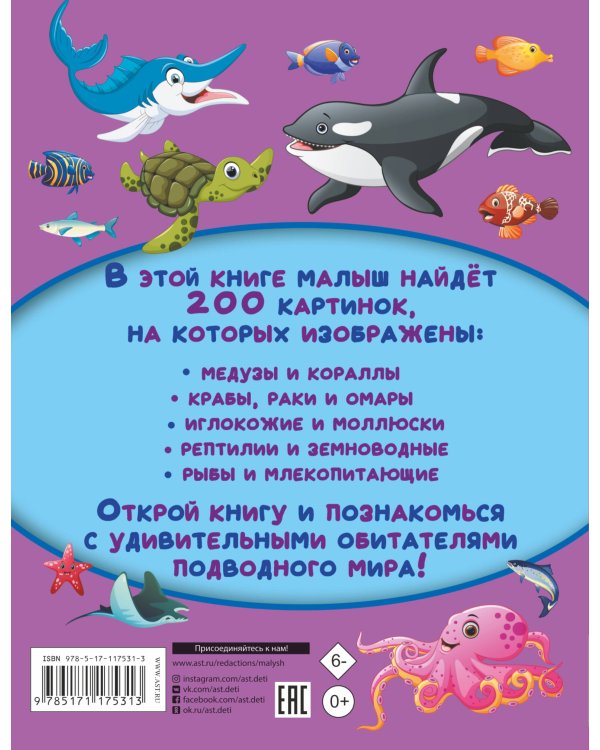 Обитатели подводного мира. 200 картинок