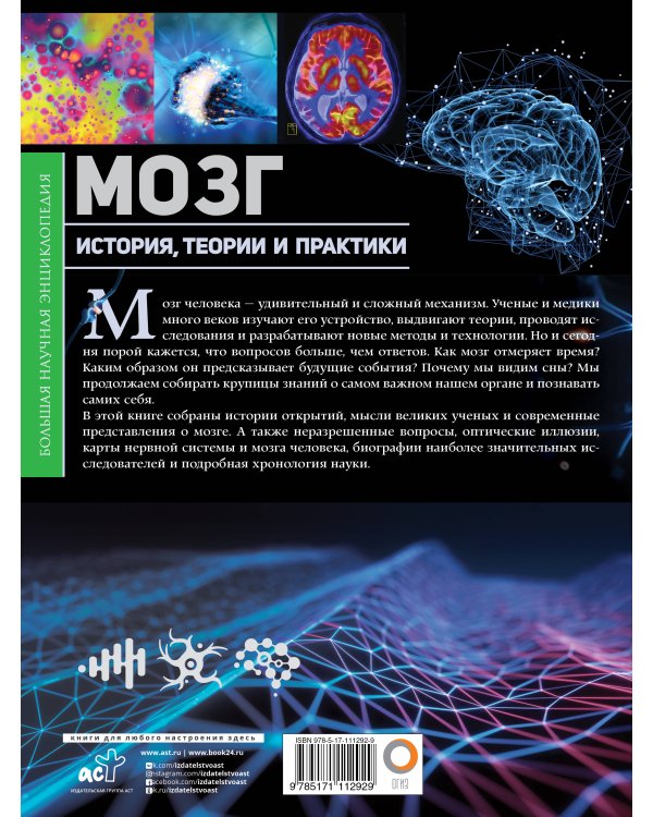 Мозг. История, теории и практики