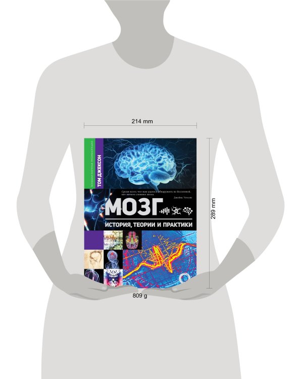 Мозг. История, теории и практики