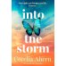 Into the storm (Cecelia Ahern) В бурю (Сесилия Ахерн) /Книги на английском языке