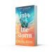 Into the storm (Cecelia Ahern) В бурю (Сесилия Ахерн) /Книги на английском языке