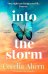 Into the storm (Cecelia Ahern) В бурю (Сесилия Ахерн) /Книги на английском языке