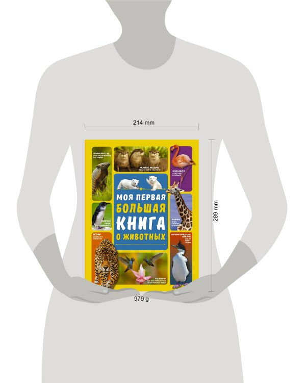 Моя первая большая книга о животных