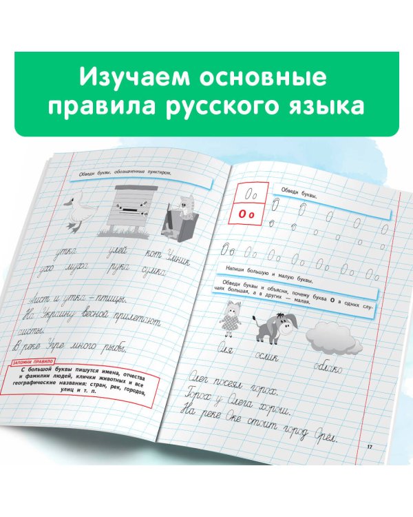 Уроки чистописания и грамотности: обучающие прописи
