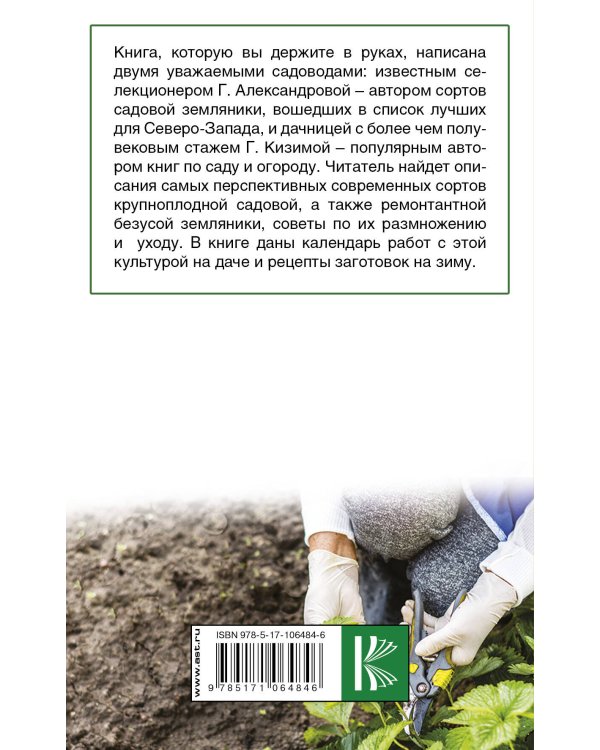 Крупноплодная садовая земляника: проверенные сорта, способы повышения урожая