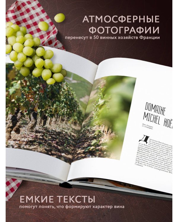 Франция. Лучшие шато и домены. Престижные винные хозяйства Бордо, Бургундии и Шампани