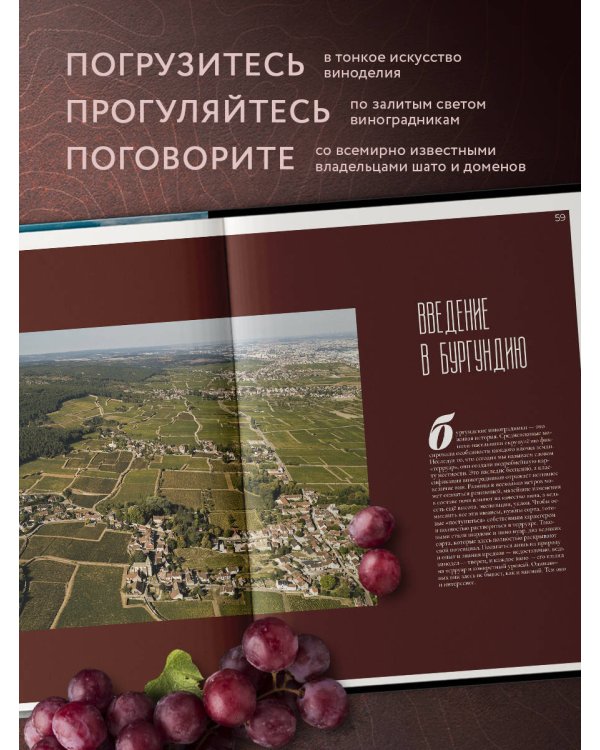 Франция. Лучшие шато и домены. Престижные винные хозяйства Бордо, Бургундии и Шампани