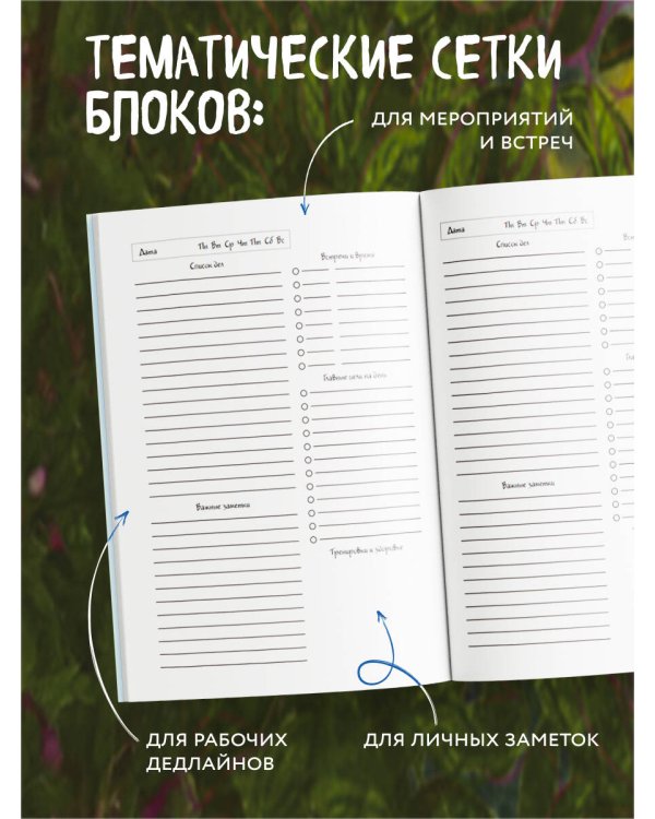 Синие коты. Рыбное место. Ежедневник недатированный (А5, 72 л.)