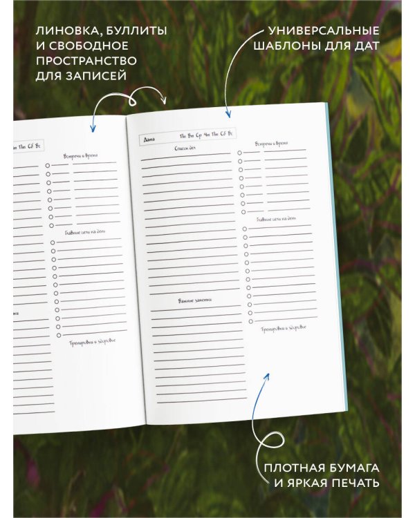 Синие коты. Рыбное место. Ежедневник недатированный (А5, 72 л.)