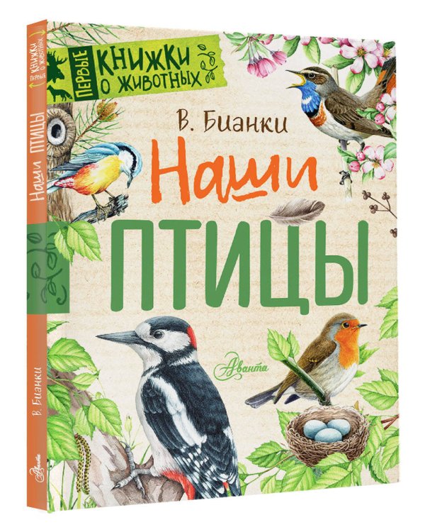 Наши птицы