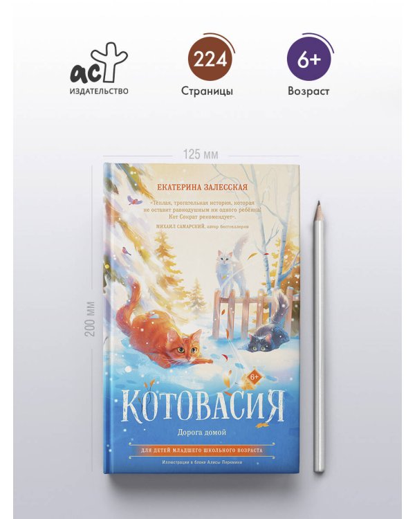 Котовасия. Дорога домой