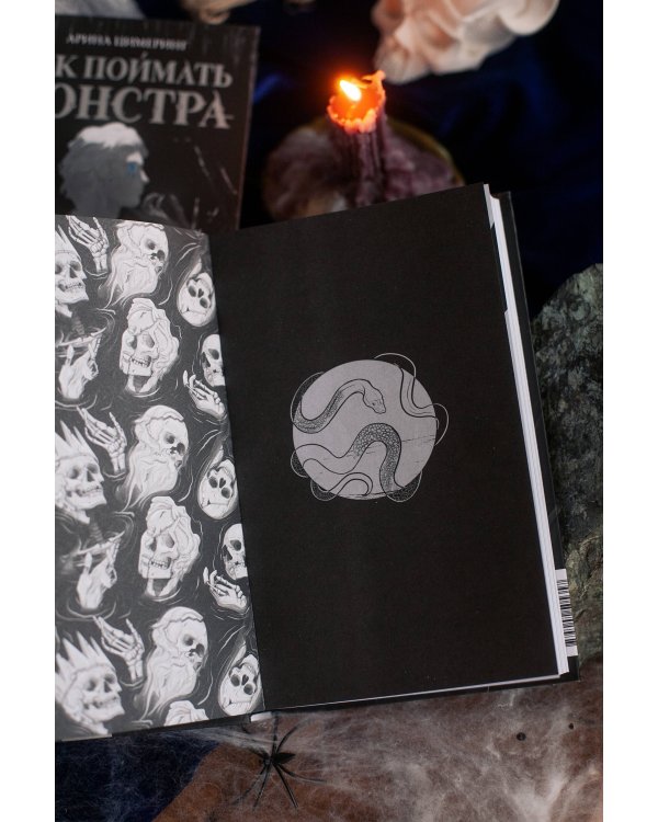 Как поймать монстра. Круг третий. Книга 1