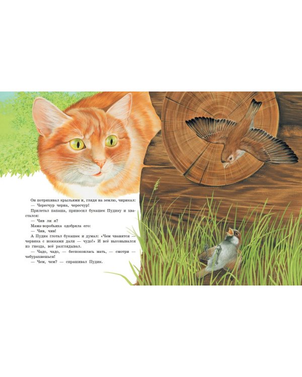 Серая Шейка. Сказки русских писателей о животных (ил. М. Белоусовой и др.)