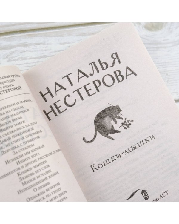 Кошки-мышки