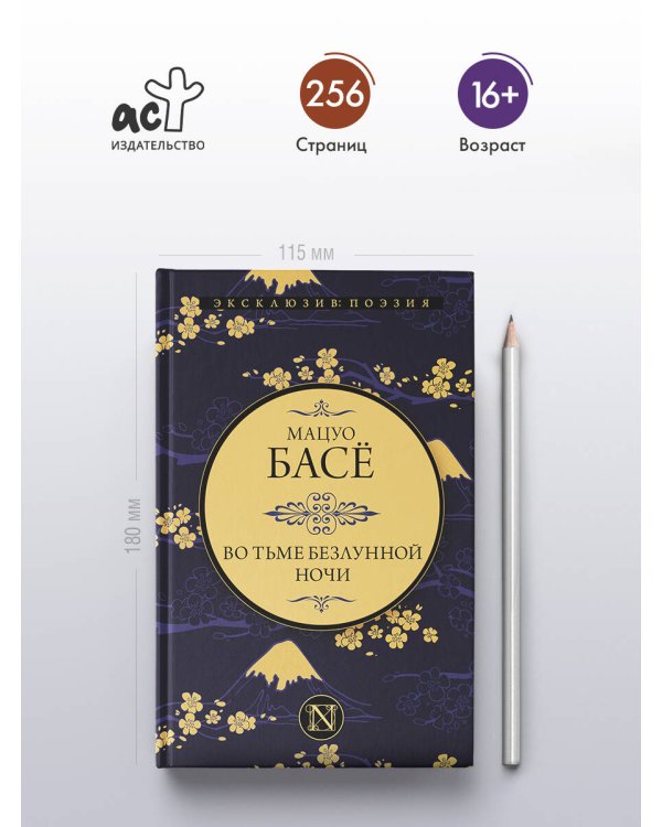 Во тьме безлунной ночи