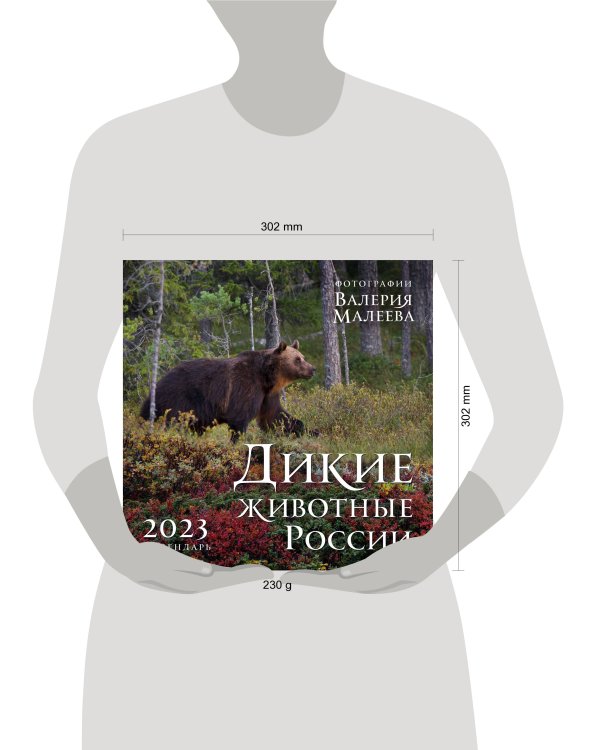 Дикие животные России. Авторские фотографии Валерия Малеева. Календарь настенный на 2023 год (300х300 мм)