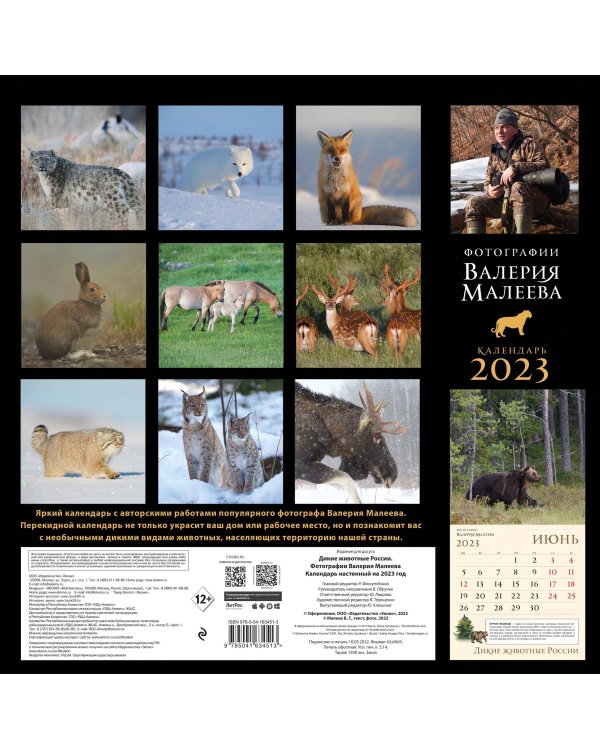 Дикие животные России. Авторские фотографии Валерия Малеева. Календарь настенный на 2023 год (300х300 мм)
