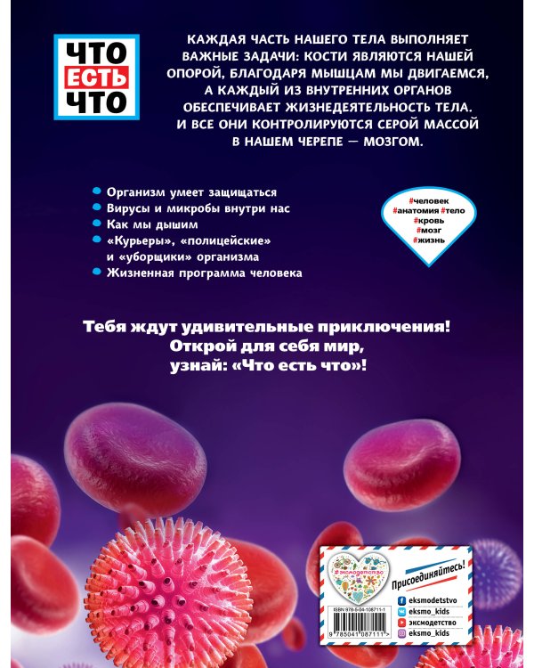 Человек. Взгляд внутрь