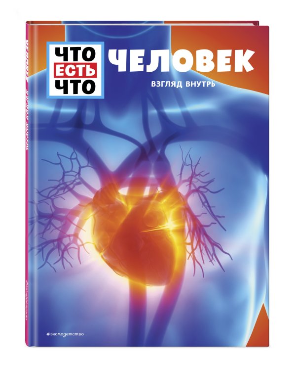 Человек. Взгляд внутрь