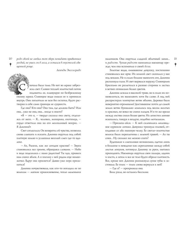 Тайна чёрного волка (#2)