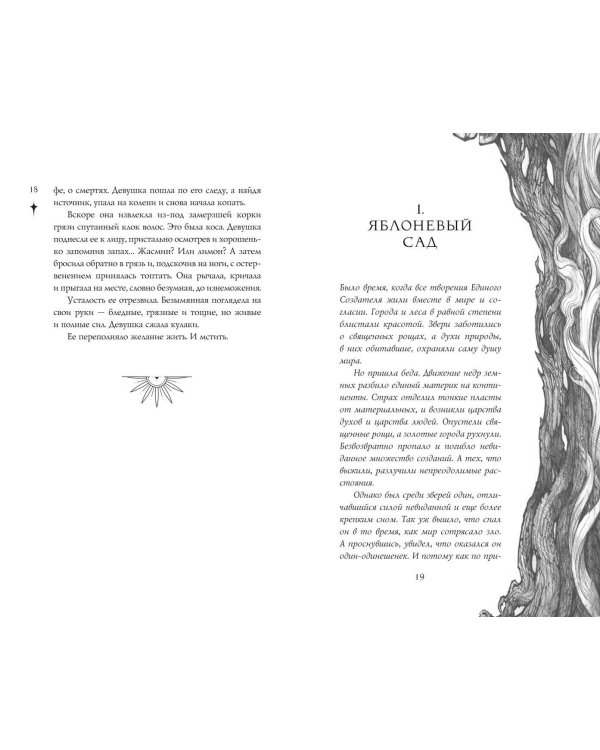 Тайна чёрного волка (#2)