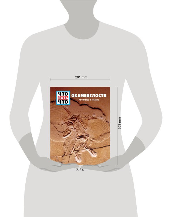 ОКАМЕНЕЛОСТИ. Летопись в камне