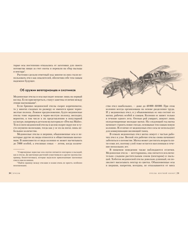 Пчелы. Что человек и пчела значат друг для друга