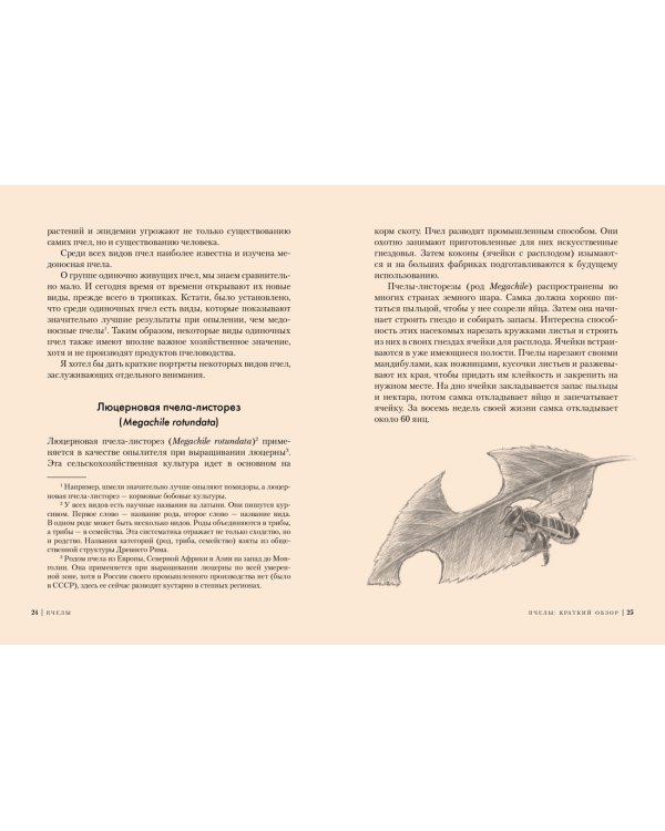 Пчелы. Что человек и пчела значат друг для друга