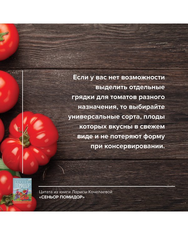 Сеньор Помидор. Выращиваем, ухаживаем и едим