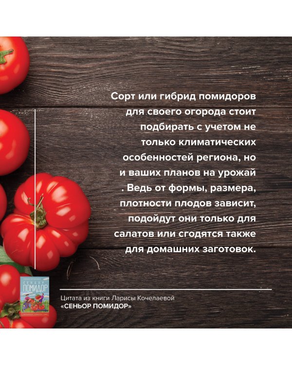 Сеньор Помидор. Выращиваем, ухаживаем и едим