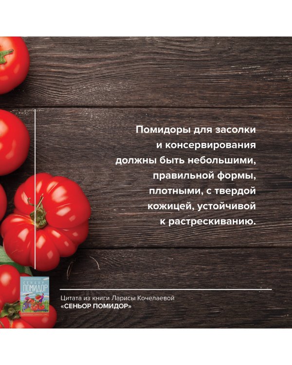 Сеньор Помидор. Выращиваем, ухаживаем и едим