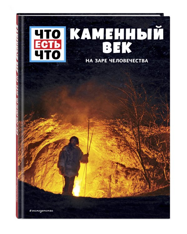 КАМЕННЫЙ ВЕК. На заре человечества