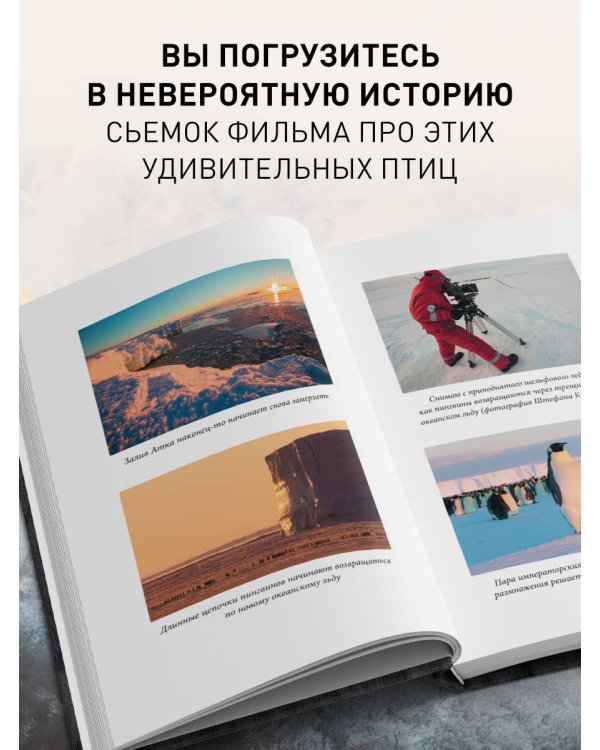Год с пингвинами. Невероятная жизнь рядом с императорами Антарктиды