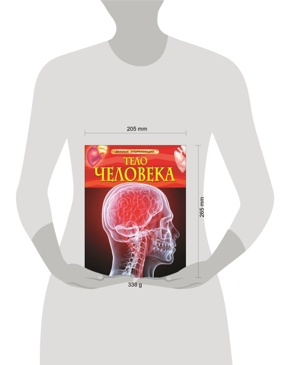 Тело человека. Детская энциклопедия
