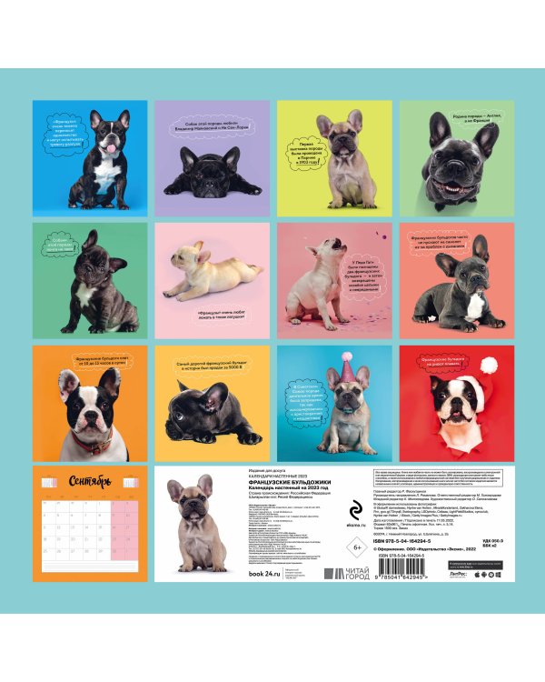 Французские бульдожики. Календарь настенный на 2023 год (300х300)