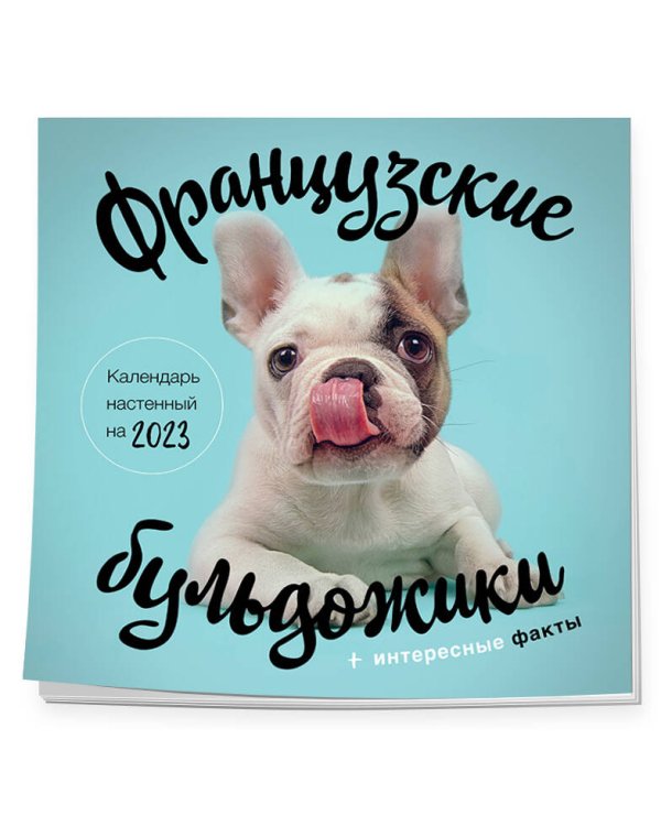 Французские бульдожики. Календарь настенный на 2023 год (300х300)