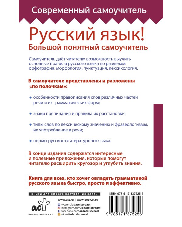 Русский язык! Большой понятный самоучитель