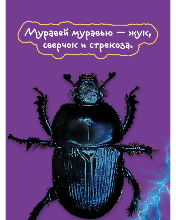 Жизнь насекомых