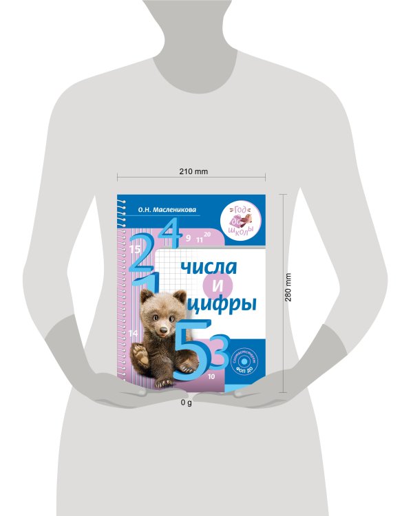 Числа и цифры