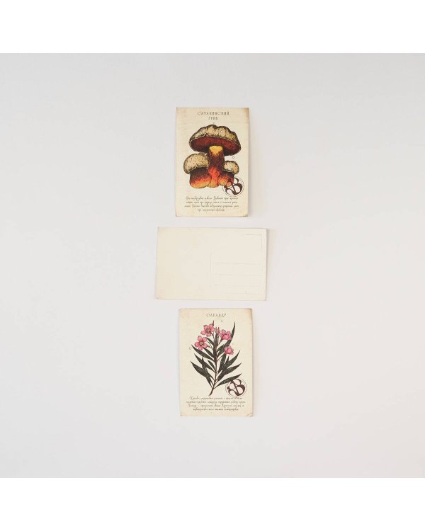 Ядовитые послания. Набор из 12 открыток для посткроссинга от Сакины Зейналовой (почтовые)