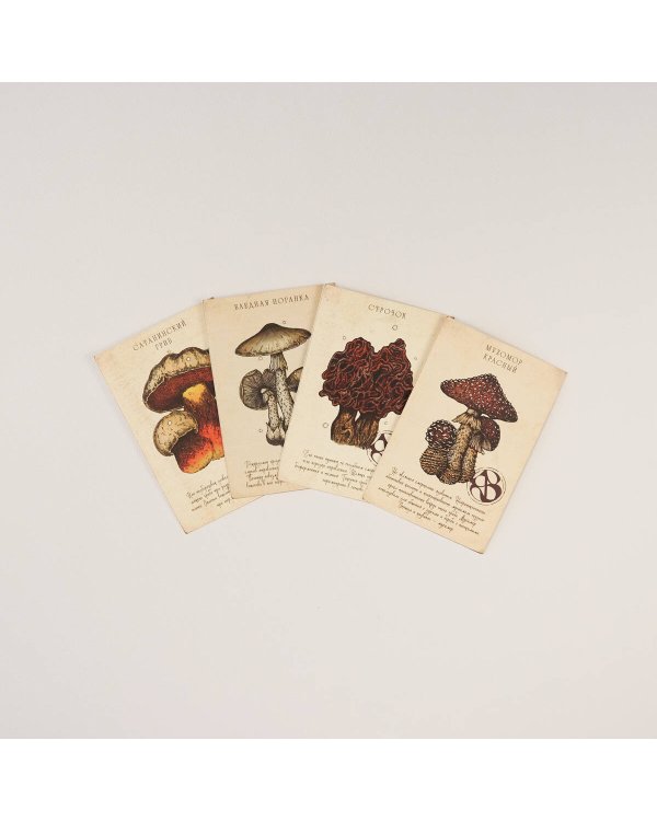 Ядовитые послания. Набор из 12 открыток для посткроссинга от Сакины Зейналовой (почтовые)