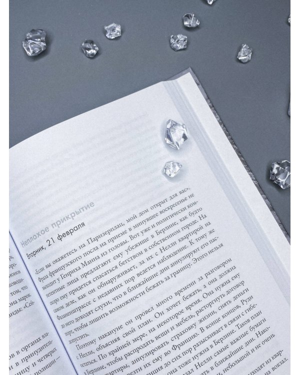 Февраль 1933. Зима немецкой литературы