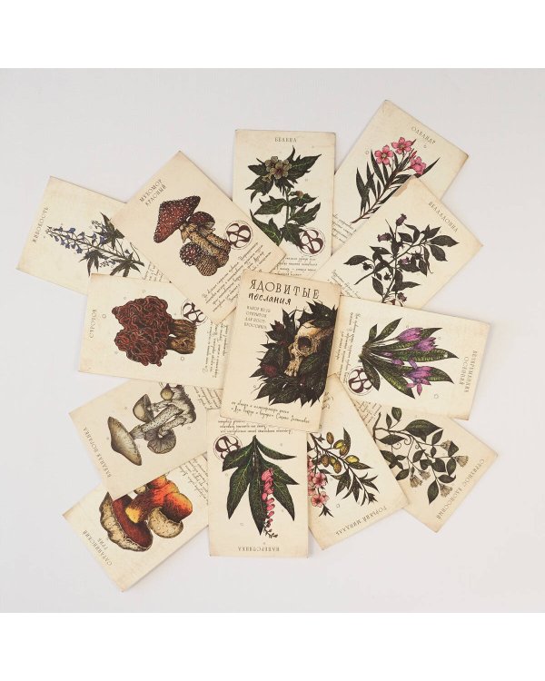 Ядовитые послания. Набор из 12 открыток для посткроссинга от Сакины Зейналовой (почтовые)